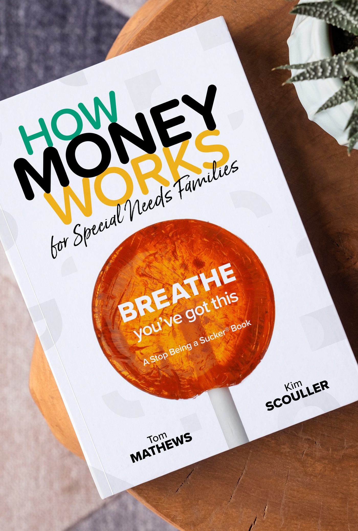 How Money Works for Special Needs Families by Tom Mathews and Kim Scouller
